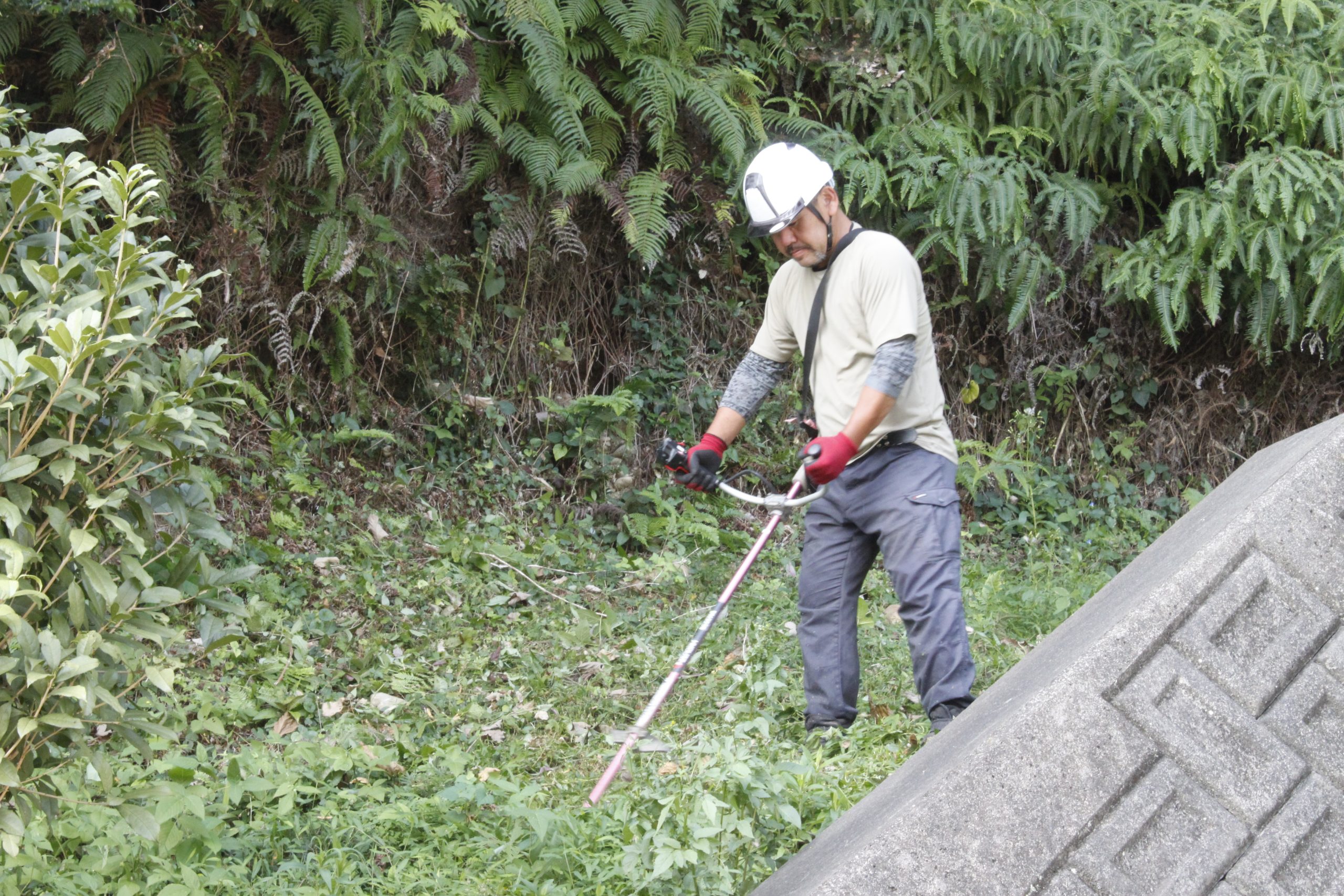 秋葉山・稲荷山古墳 除草